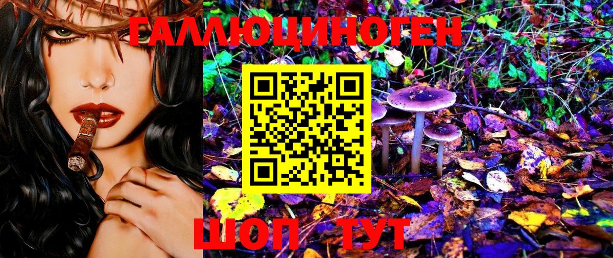 Гусиноозёрск  Псилоцибиновые грибы MAGIC MUSHROOMS  магазин  наркотиков  Вход с VPN  Псилоцибиновые грибы прущие грибы 